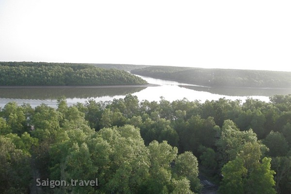 can gio mangrove forest saigon bicycle day tour