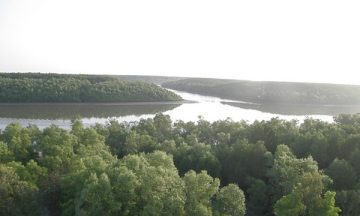 bike tour to can gio mangrove forest